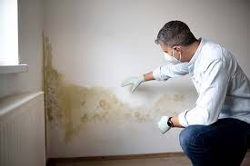 Best Mold Documentation for Insurance Claims  in Newark, IL